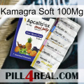 Kamagra Soft 100Mg 11